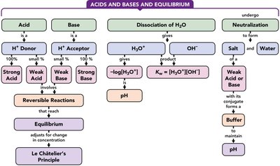 Concept map of acids, bases, equilibrium, and buffers