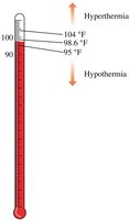 Body temperature and clinical significance