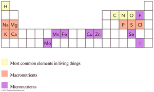 Elements in living things: macronutrients and micronutrients