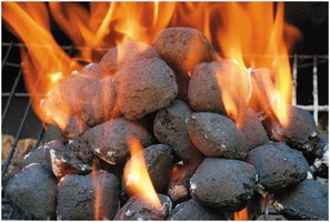 Combustion as a chemical change