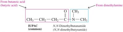 Structure and naming of N,N-dimethylbutanamide