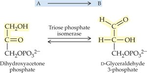 Isomerase reaction example