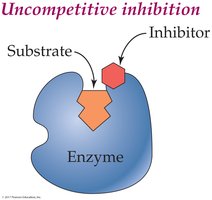Uncompetitive inhibition diagram