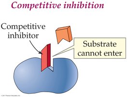 Competitive inhibition diagram