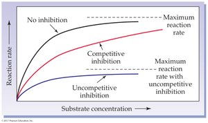 Graph of enzyme inhibition types