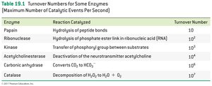 Table of enzyme turnover numbers