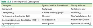 Table of important coenzymes