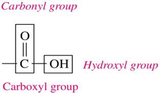 Carboxyl group structure