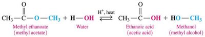 Acid hydrolysis of an ester