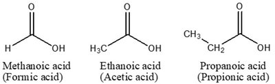 Examples of carboxylic acids