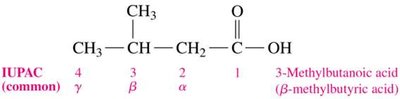 IUPAC and common naming of carboxylic acids