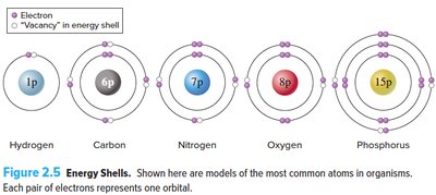 Energy shells for common elements