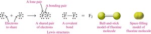 Lewis structure for F2 molecule