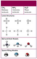 Lewis, ball-and-stick, and space-filling models for CH4, NH3, H2O
