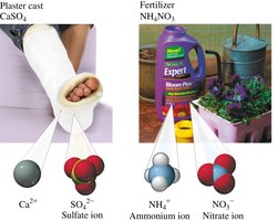 Examples of polyatomic ions in products