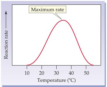 pH optima for pepsin and trypsin