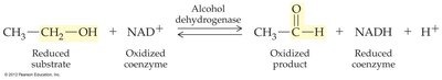 Alcohol dehydrogenase catalyzed reaction