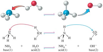 Ammonia and water conjugate pairs