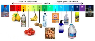 pH scale and formula relationships