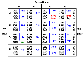 Genetic code table