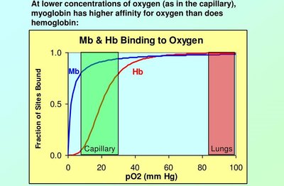 Graph comparing oxygen binding of myoglobin and hemoglobin