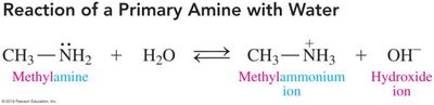 Reaction of a primary amine with water