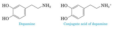 Structures of tetramethylammonium chloride and choline
