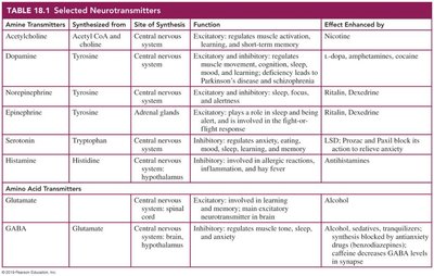 Table of selected neurotransmitters
