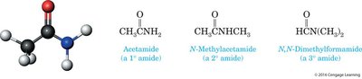 Structures of acetamide, N-methylacetamide, and N,N-dimethylformamide