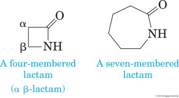 Structures of a four-membered and a seven-membered lactam