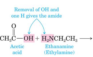 Formation of an amide from acetic acid and ethanamine