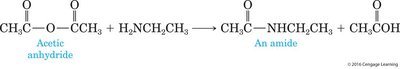 Formation of an amide from acetic anhydride and ethanamine