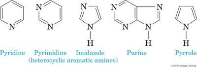Structures of heterocyclic aromatic amines: pyridine, pyrimidine, imidazole, purine, pyrrole