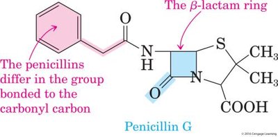 Structure of penicillin G showing the β-lactam ring