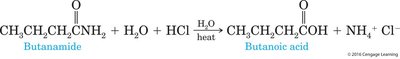 Acid hydrolysis of butanamide