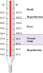 Thermometer showing temperature ranges in Celsius and Fahrenheit