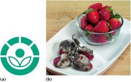 FDA symbol for irradiated foods and comparison of irradiated vs. non-irradiated strawberries