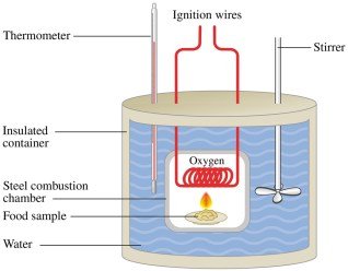 Calorimeter diagram for measuring energy values of food