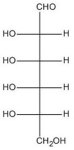 option e structure