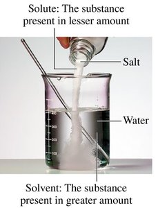 Solute and solvent in a beaker: salt dissolving in water