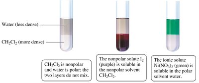 Test tubes showing mixing and non-mixing of polar and nonpolar substances