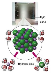 Hydration of NaCl: water molecules surrounding ions