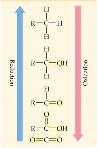 Diagram showing oxidation and reduction of organic molecules