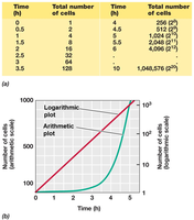Exponential growth table and plot
