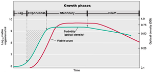 Bacterial growth curve