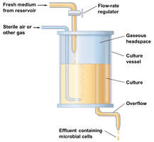 Chemostat diagram