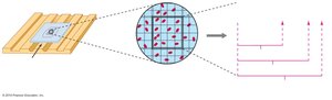 Microscopic counting chamber