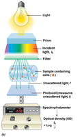 Spectrophotometer setup