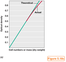 Standard curve for OD