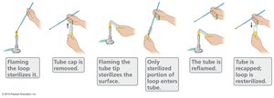 Aseptic technique steps
